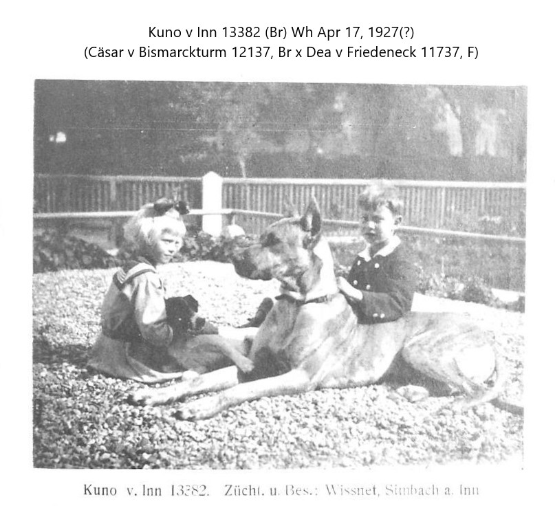 Kuno v Inn